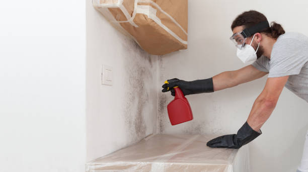 Professional Mold Remediation technician working in Hanna City, IL