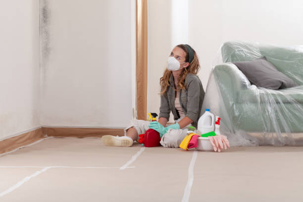 Reliable Mold Remediation contractor in Hanna City, IL by 24 Hour Mold Removal